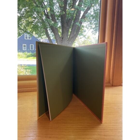 Kohls Cares Judy Schachner Skippyjon Jones Hard Cover Book and Bumble Bee Buzzit - Picture 8 of 9